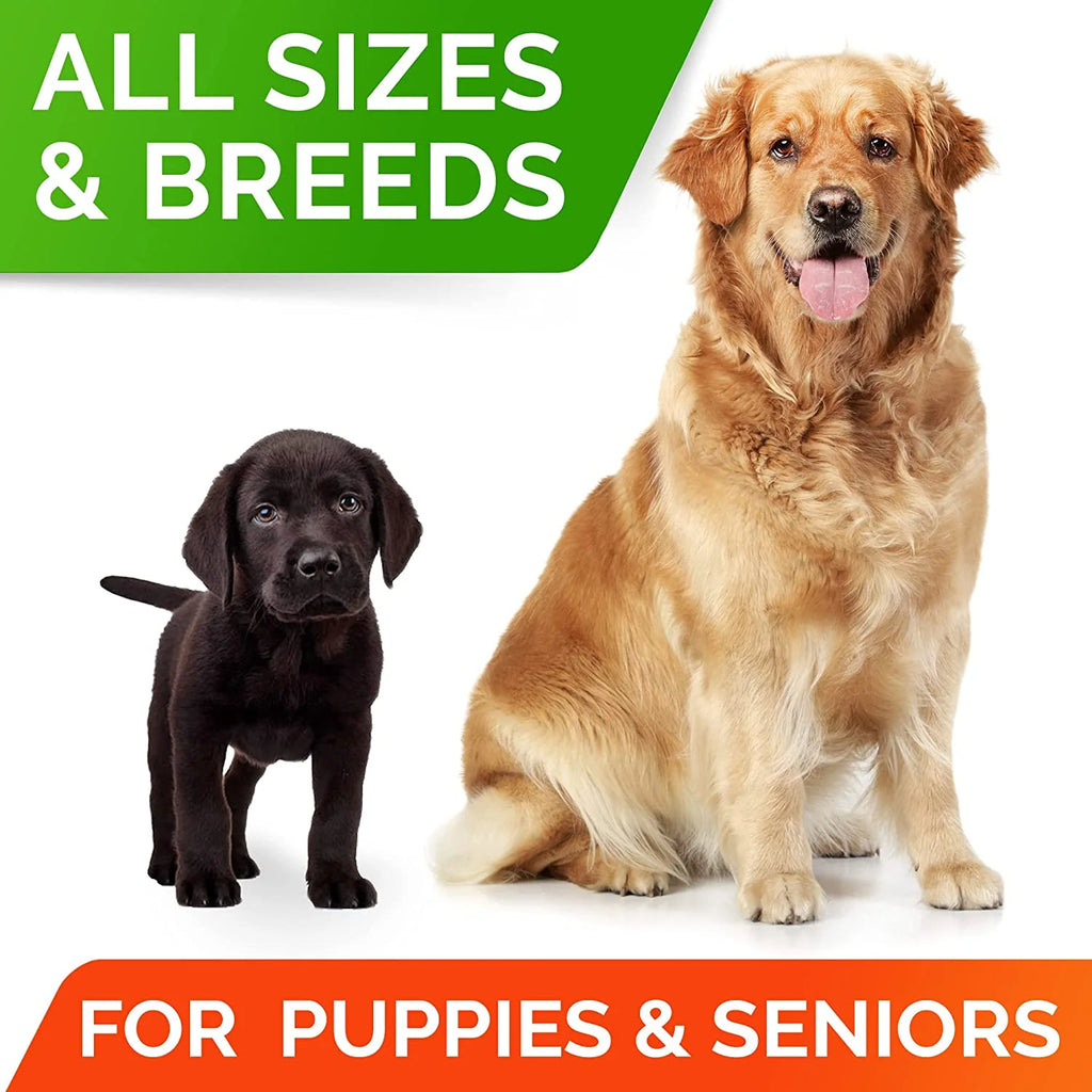 Probiotics Chews for Dogs 