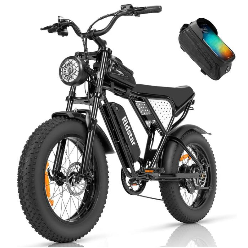 Electric Bike Ridstarq20 2000W Dual Motor 52V 40AH Dual Battery Adult E-Bike 20 Inch Tire for Mountain Off-Road Electric Bicycle