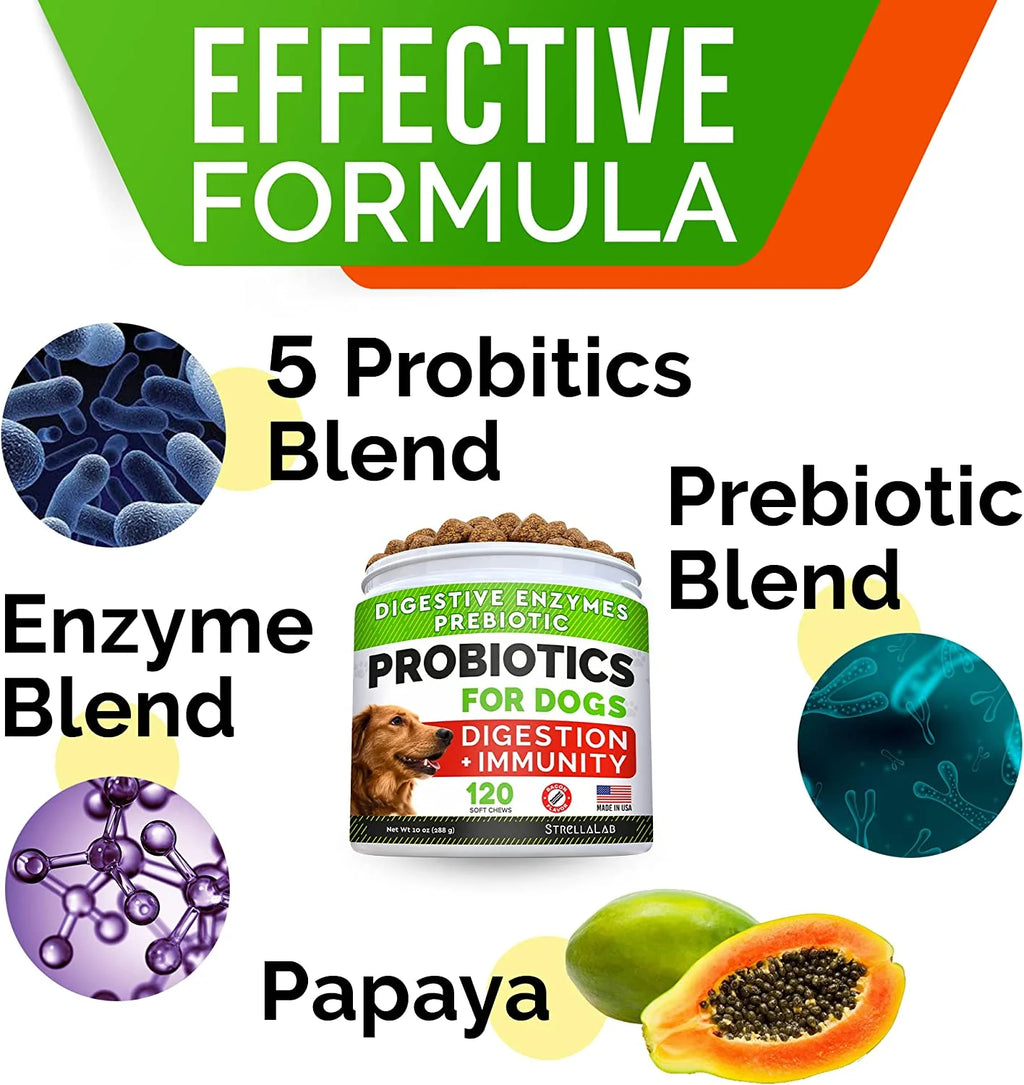 Probiotics Chews for Dogs 