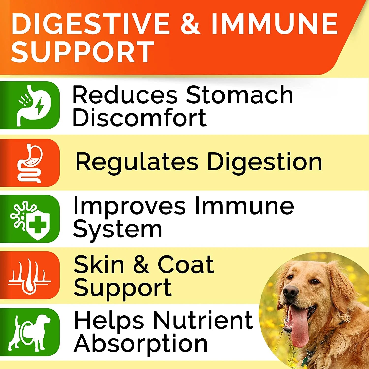 Probiotics Chews for Dogs 